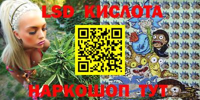 jwh Будённовск