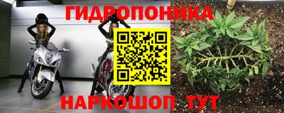 jwh Будённовск