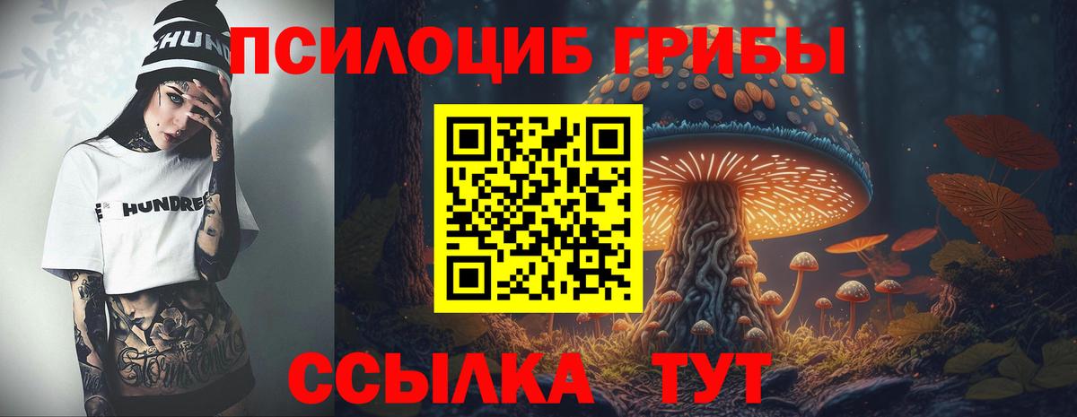 Галлюциногенные грибы Psilocybe  Вход с VPN  Шумерля 